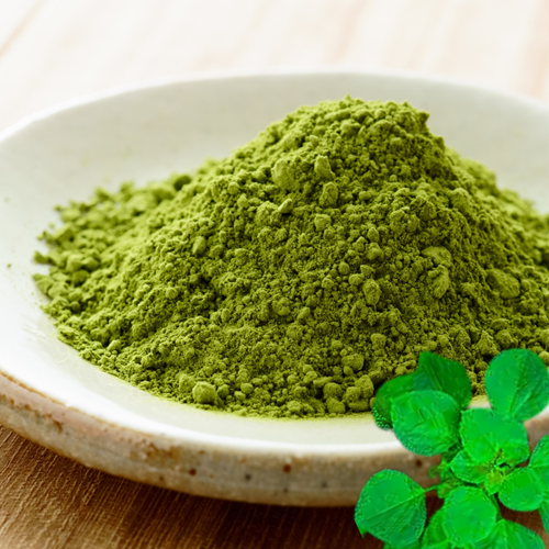 Indian Acalypha Powder