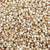Little Millet Seeds