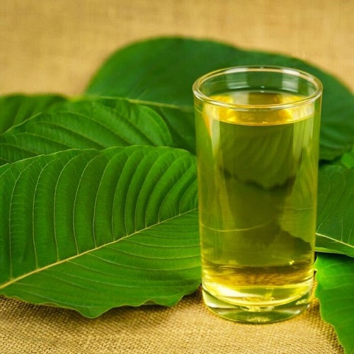 Mitragyna Speciosa Extract Liquid
