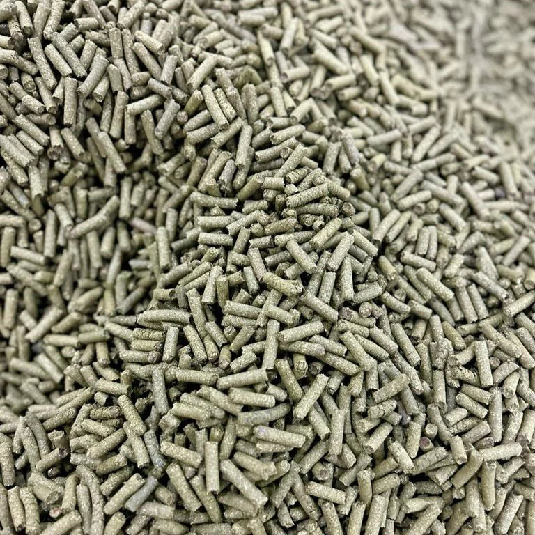 Green Raw Papaya Pellets for Horse Feed