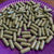 Plantain Capsules