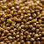 Proso Millet Seeds