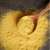 Sea Buckthorn Juice Powder