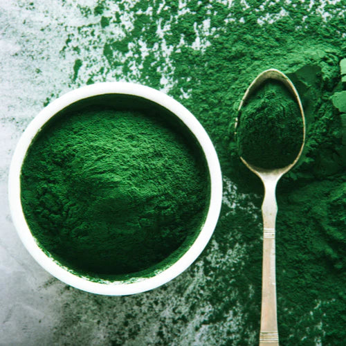 Chlorella Powder