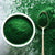Chlorella Powder