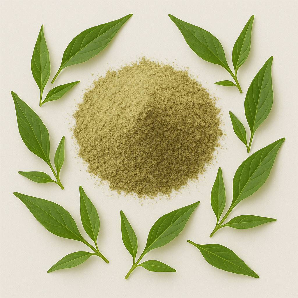 Andrographis Paniculata Extract Powder