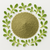 Brahmi Bacopa Monnieri Extract Powder