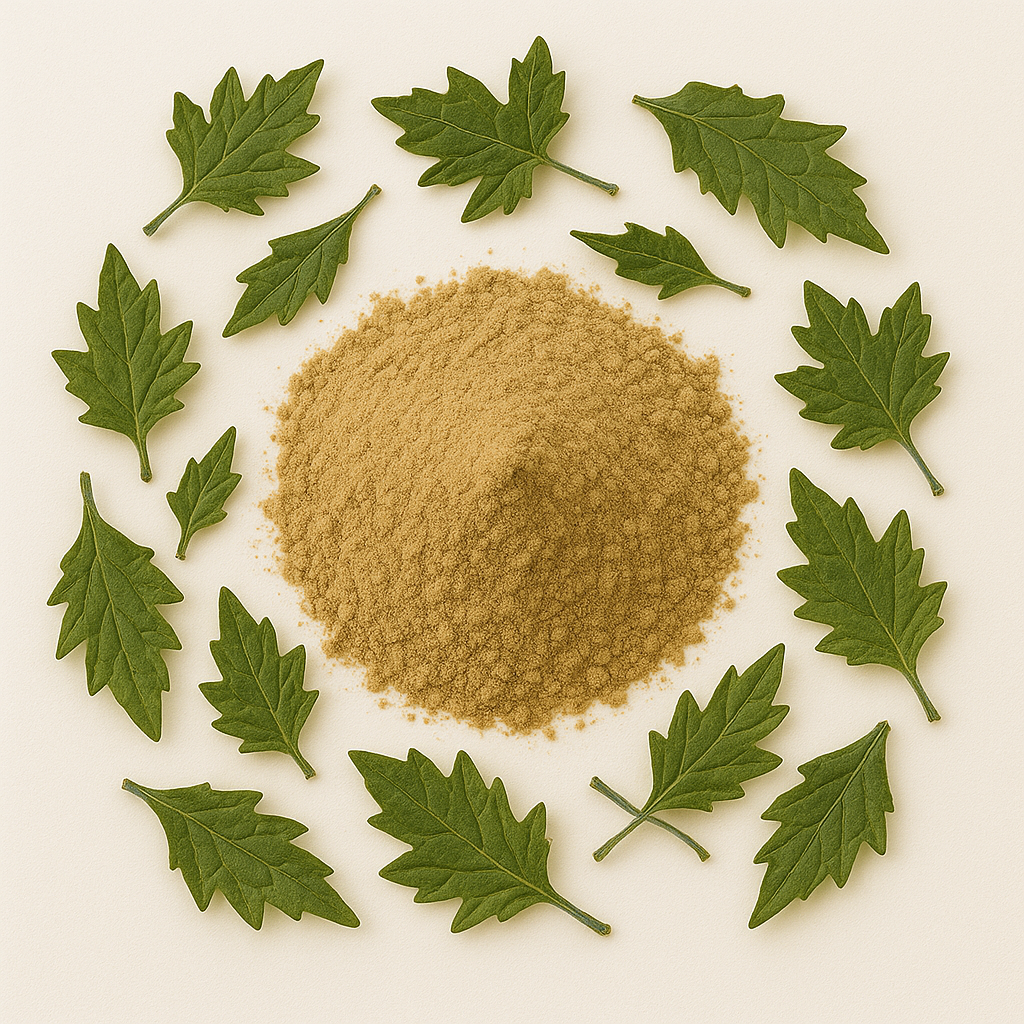 Chinese Ivy Extract Powder