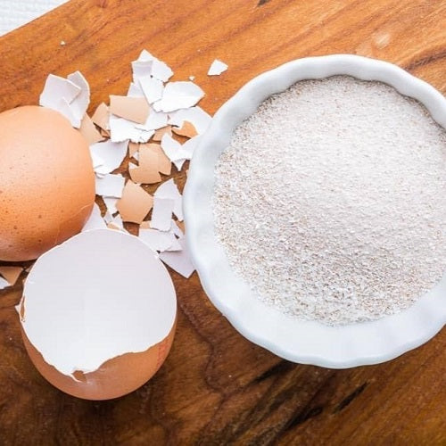 Egg Shell Powder