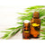 Rosalina Essential Oil