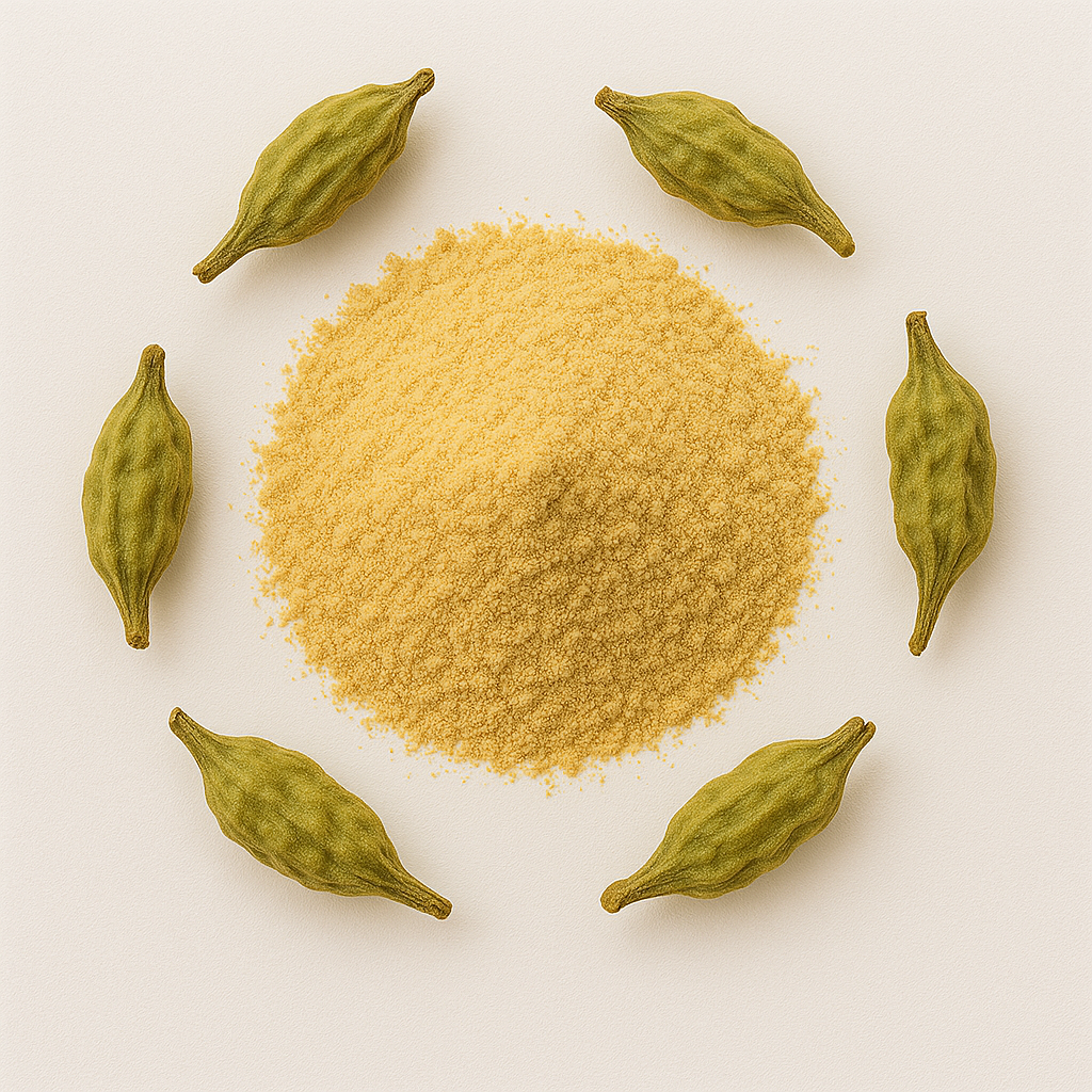 Saphora Japonica Extract Powder