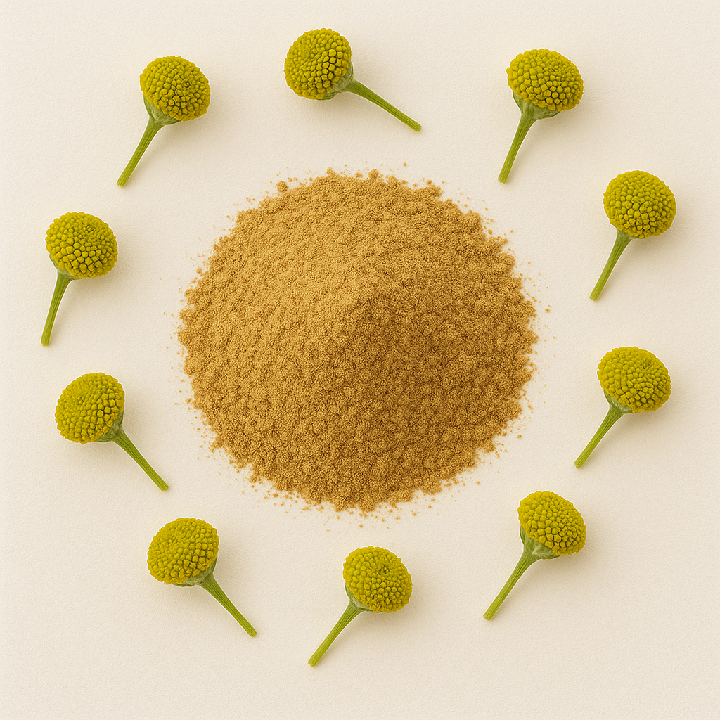 Tansy Extract Powder
