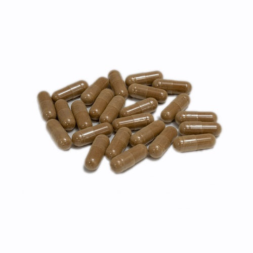 Turkey Tail Capsules