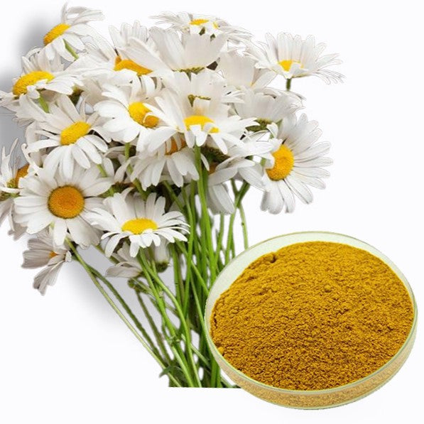 Chamomile Powder